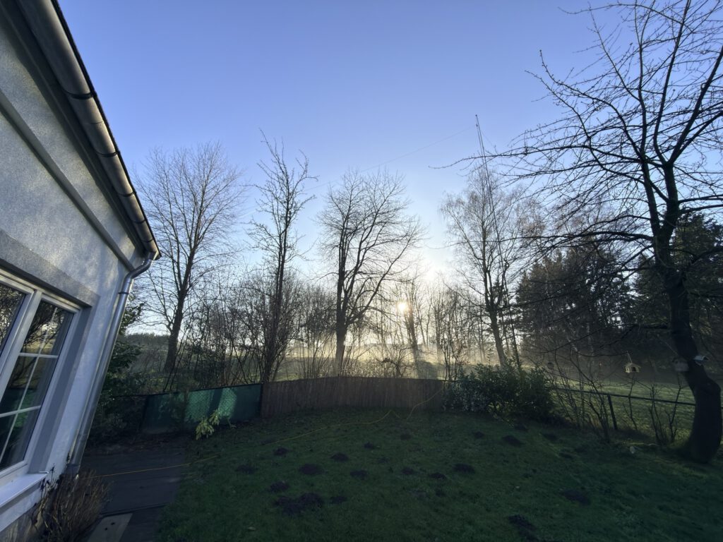 Winter morning in the garden of the holiday home in Bad Bentheim