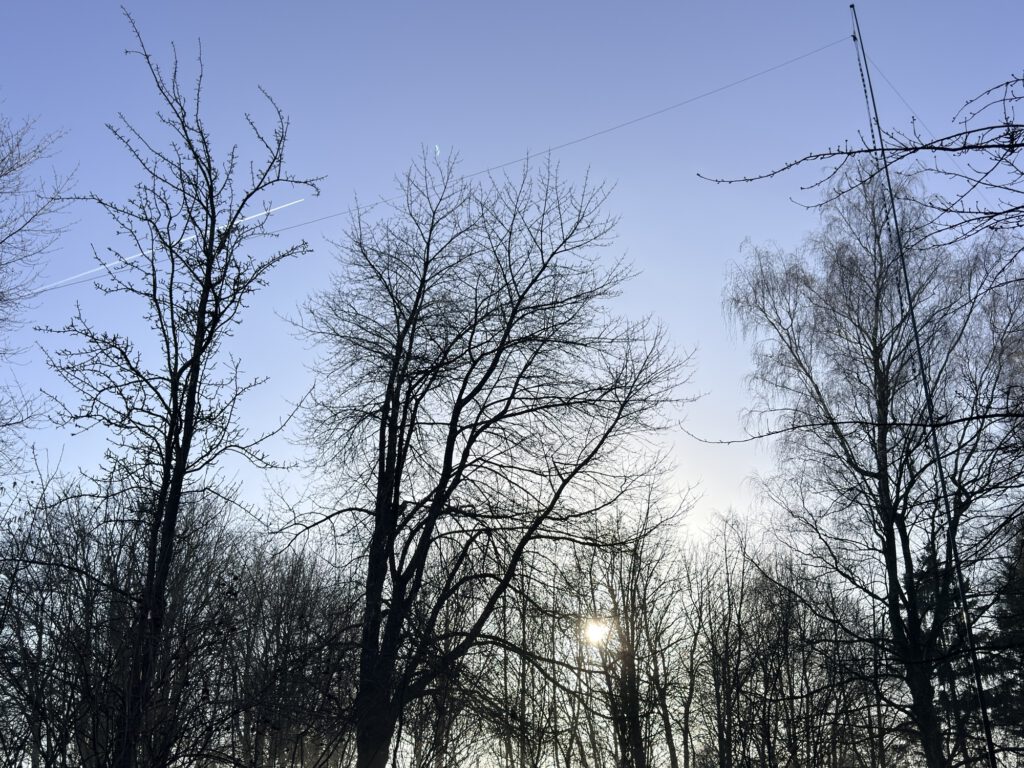 Wire antenna between bare winter trees