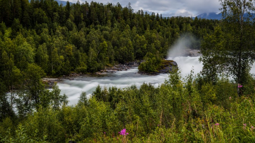 Rapids of the river near Bardu between the forest