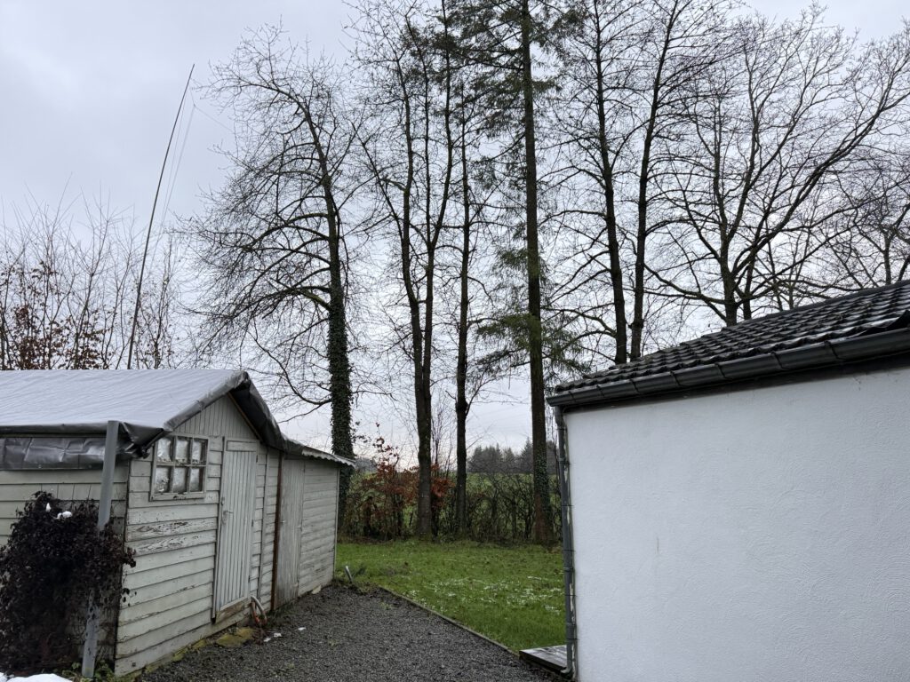 End-fed antenna in the trees behind the holiday home