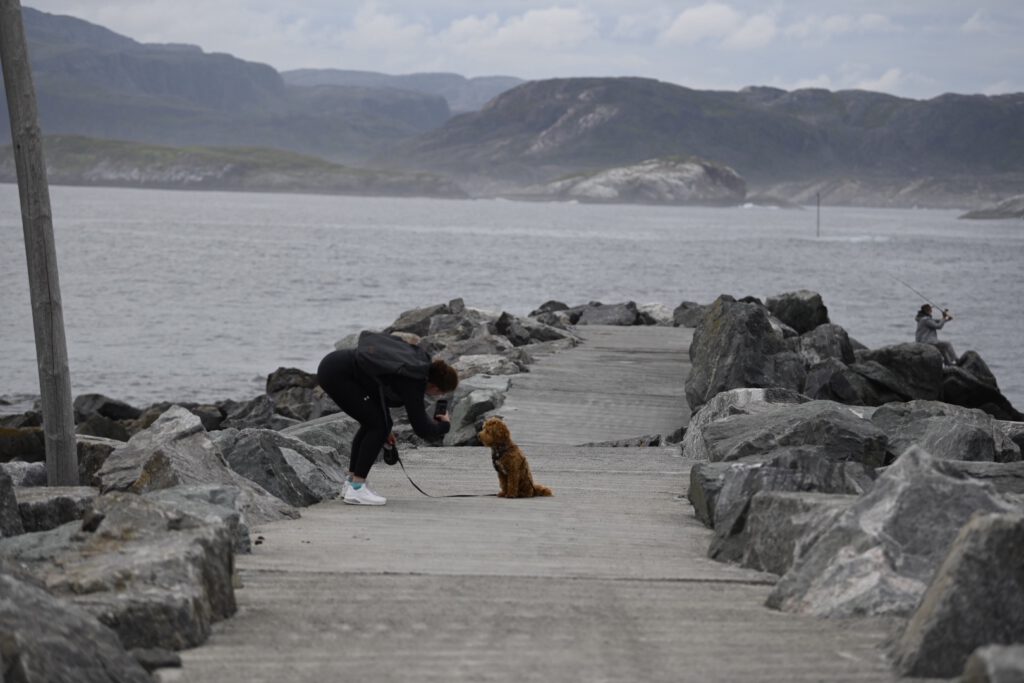 Walking the dog on the pier