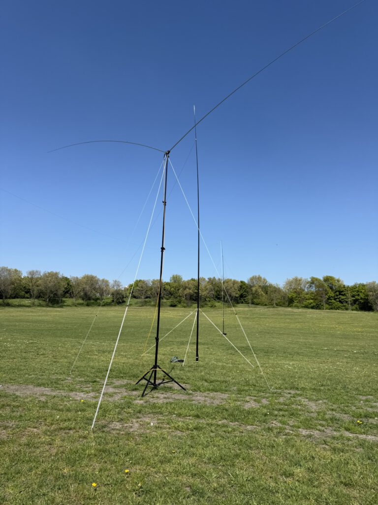 Vertical antenna with radials in the field
